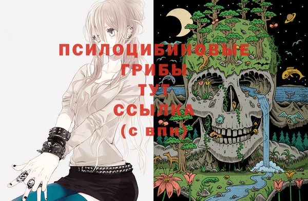 мескалин Алексин